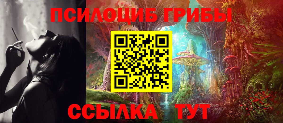 Галлюциногенные грибы Psilocybe Богданович